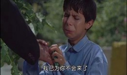 天堂的颜色在线观看,在线观看天堂的颜色深度解析