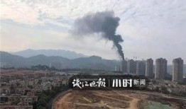 东海新闻爆料,聚焦热点事件，揭示社会真相