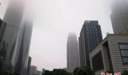 信宜市楼市新闻爆料,最新爆料揭示市场走势与热点项目