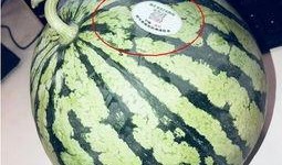 网红吃瓜圈,揭秘娱乐圈幕后风云