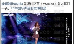 好声音爆料完整视频大全,揭秘选手幕后故事与精彩瞬间