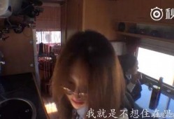 宁静爆料女明星视频,真相背后引人深思