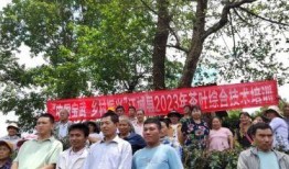 茶扎乡小学爆料新闻视频,一场突如其来的灾难，牵动人心