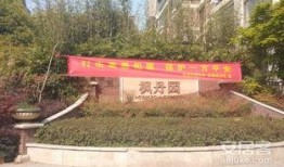 枫丹科学园爆料了吗最新消息,神秘项目引发热议