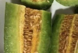 网红晨曦吃瓜,揭秘网红圈幕后故事