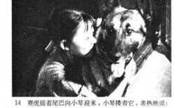 赛虎电影在线观看,热血激战，勇闯天涯