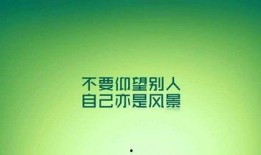 励志的新闻爆料文案,逆境中的励志力量——新闻爆料背后的感人故事