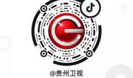 贵州卫视最新爆料,揭秘贵州神秘事件背后的真相