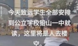 致远最新爆料消息,揭秘行业变革背后的秘密