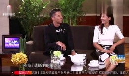 天涯爆料王磊视频全集,揭秘背后惊人真相