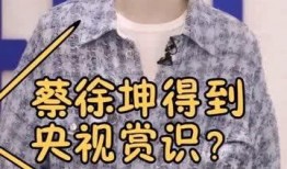 蔡徐坤又被爆料了嘛视频,又被爆料，真相究竟如何？”