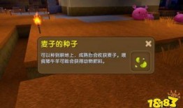 迷你官方爆料小麦视频,小麦视频背后的精彩故事