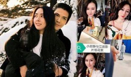 狗仔爆料向佐是谁啊视频,狗仔爆料视频中的神秘人物向佐是谁？