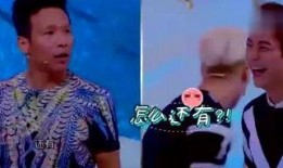 宋小宝印度爆料视频播放,揭秘异国风情的幕后故事