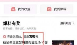衡水头条今日爆料,揭秘某重大事件背后真相