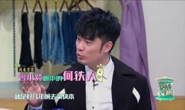 陈赫爆料何炅熬夜视频,揭秘娱乐圈不为人知的幕后生活