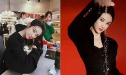 爆料女明星逃税视频大全,女明星逃税视频大全揭秘