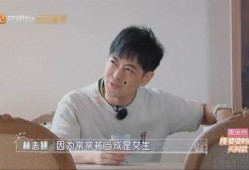 亲妈爆料林志颖视频大全,视频大全揭秘星爸星妈育儿日常