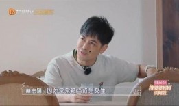 亲妈爆料林志颖视频大全,视频大全揭秘星爸星妈育儿日常