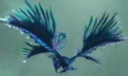 九天玄鸟在线观看,穿越时空的奇幻之旅