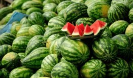 网红吃瓜圈,揭秘娱乐圈幕后风云