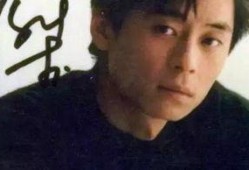 爆料娱乐圈王杰,王杰的真实故事与幕后真相