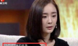 胡歌杨幂圈内爆料,娱乐圈背后的真实故事