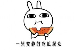 快手网红黑料吃瓜网免费,黑料吃瓜网免费解析网红幕后真相