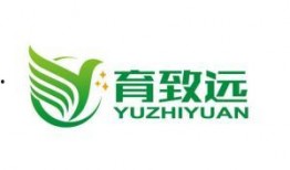 致远最新爆料消息,揭秘行业变革背后的秘密
