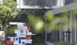 北京流浪猫豪宅爆料新闻,揭秘流浪猫的温馨家园