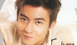 陈冠希爆料娱乐圈内幕,真相与谎言的交织