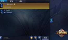 王者爆料坑货视频大全