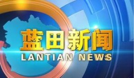 武宁电视台新闻爆料,重大新闻事件背后真相揭晓