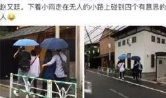 涧西吃瓜最新事件爆料视频,最新爆料视频揭露惊人内幕