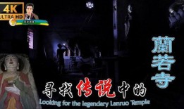 寻年传说在线观看,穿越时空的奇幻之旅