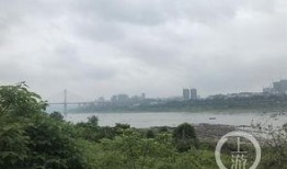 大渡口最新爆料新闻网,聚焦热点事件，揭秘幕后真相