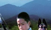 赛虎电影在线观看,热血激战，勇闯天涯