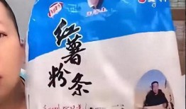 东北雨姐爆料事件视频,揭秘事件背后真相