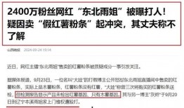 东北雨姐爆料事件视频,揭秘事件背后真相