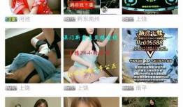嘿咻直播在线观看,揭秘嘿咻直播的精彩瞬间