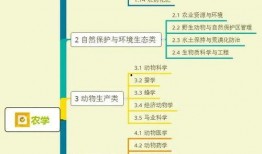 散兵背景爆料视频大全集,全方位解析散兵世界