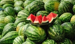 有哪些知名网红吃瓜群,揭秘知名网红的吃瓜群传奇