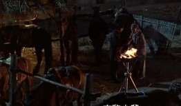 醉马骝在线观看,穿越时空的奇幻冒险之旅