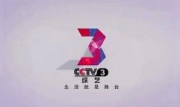 cctv3在线观看,尽享精彩视听盛宴
