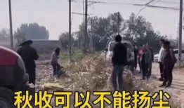 农村爆料视频大全