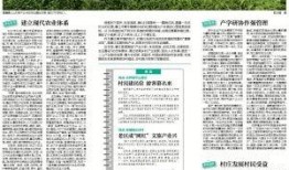 今日关注廉江爆料,聚焦民生热点，揭示社会现象