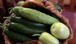 网红晨曦吃瓜,揭秘网红圈幕后故事