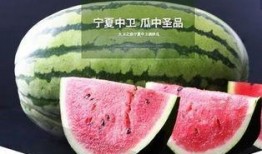 全网烤瓜免费吃