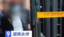 焦点爆料视频大全,视频大全深度解析，揭秘热点事件背后的真相