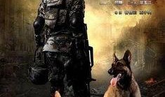 神犬奇兵暴风在线观看,暴风来袭，忠诚守护